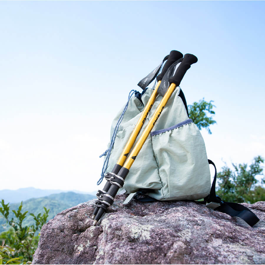 Dynamic Gold & Obsidian Lightweight Aluminium Trekking Pole