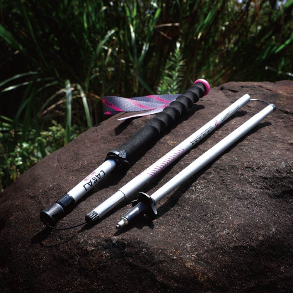 Minimalist Rose Red Aluminum Running Poles