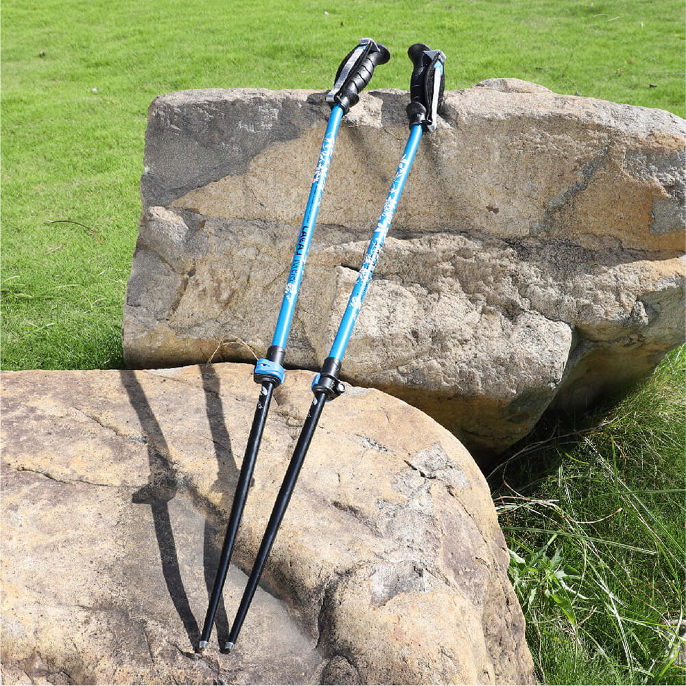 Vivid Magenta Apex Nordic Walking Poles