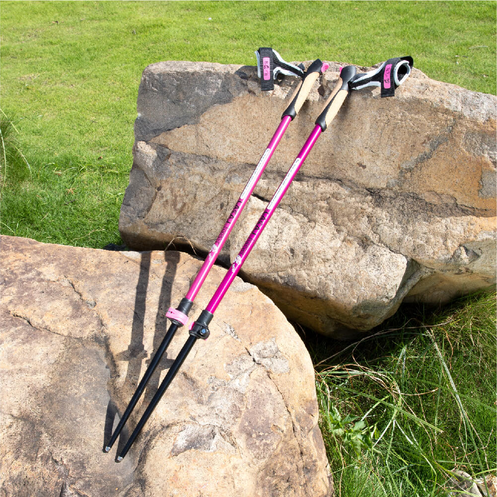 Electric Blue Nordic Walking Poles